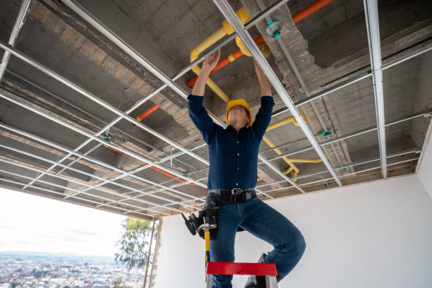 Best Plumbing Inspection Services  in Lindstrom, MN