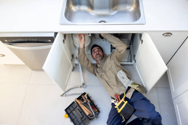 Best Clogged Drain Plumber  in Lindstrom, MN