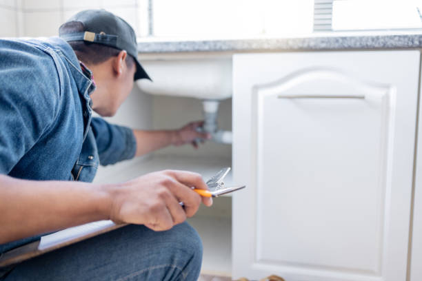 Best Same-Day Plumbing Service  in Lindstrom, MN